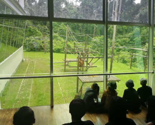 Sepilok Orangutan Rehabilitation Centre nursery playground - Travellers of Malaysia